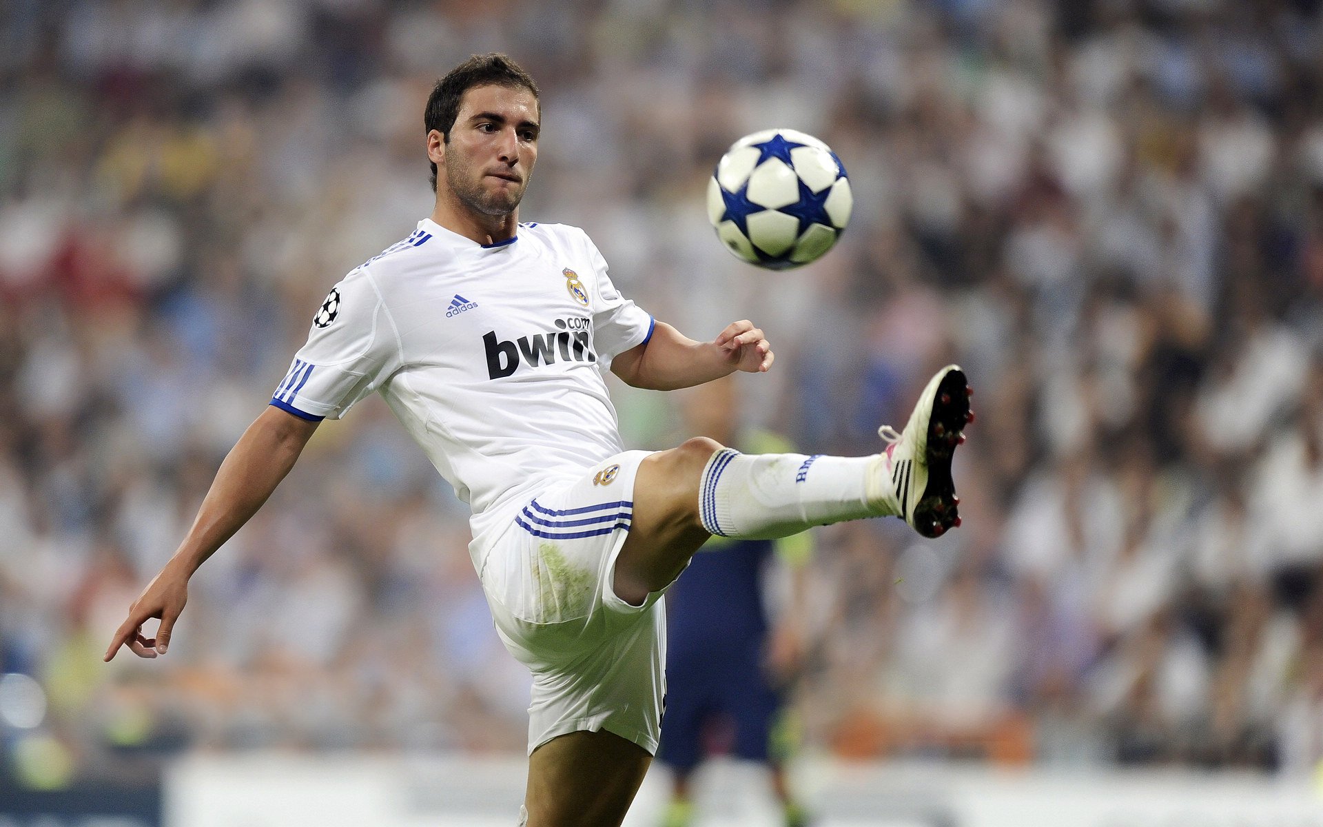 赛场双雄,德国战车力克葡萄牙,樊振东展露王者锋芒